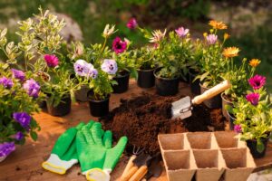jardinage